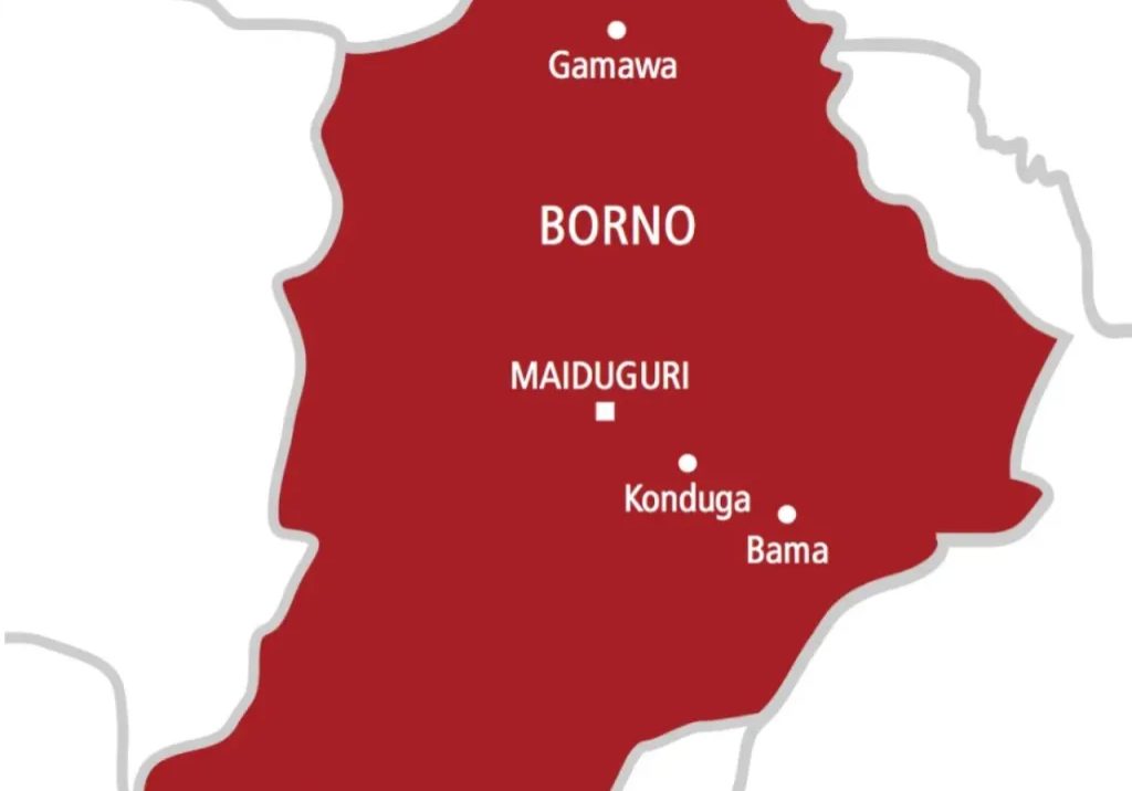 Borno: Soldier stabs ex-military man to death in late-night dispute