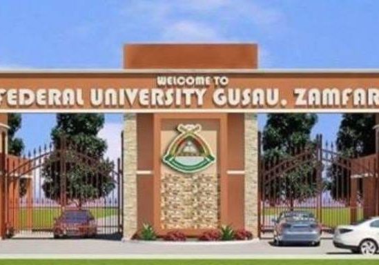 Nigerian University Invents 2000W Solar-Powered Generator. Gashua federal varsity invents 2000W solar generator — Daily Nigerian