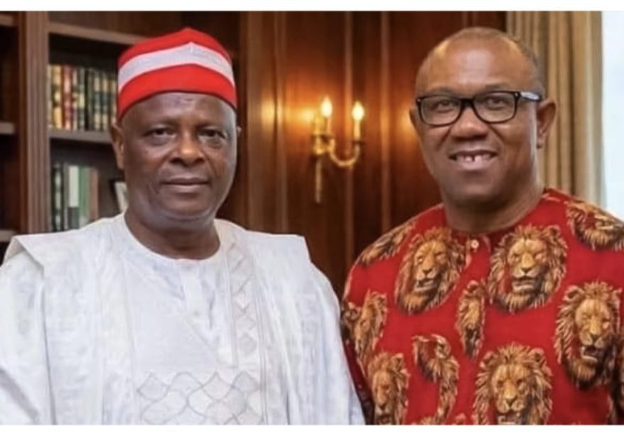 Nigerians split as Obi, Kwankwaso NDC move sparks political debate ahead of 2027