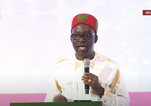 Nigeria's Economic Future: Boosting Domestic Investment Nigeria's Economic Future: Boosting Domestic Investment
