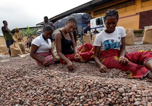 Nigeria's Exports Surge 2.6% to $2.7 Billion in First Half Nigeria's Exports Surge 2.6% to $2.7 Billion in First Half