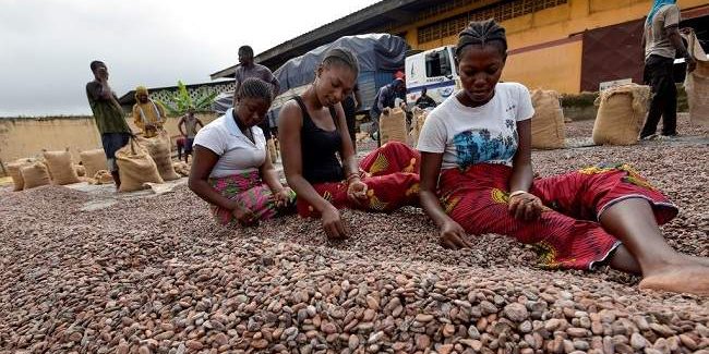 Nigeria's Exports Surge 2.6% to $2.7 Billion in First Half Nigeria's Exports Surge 2.6% to $2.7 Billion in First Half