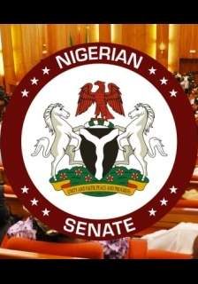 Nigeria's Senate Eyes Bill to Regulate Airlines, Promote Aviation Growth