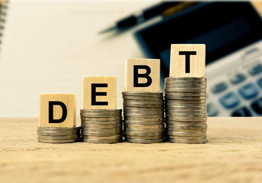 Nigerias domestic debt grows by 132 per cent hits N519trn Nigerias domestic debt grows by 132 per cent hits N519trn