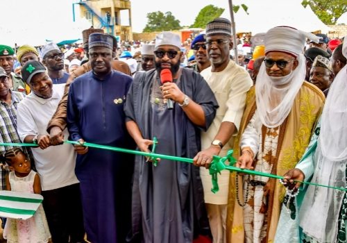 Bago Unveils Plan To Plant 10m Shea Trees In Niger • Channels Television