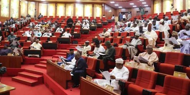 No provision for 2024 census in NPC budget says Senate No provision for 2024 census in NPC budget says Senate