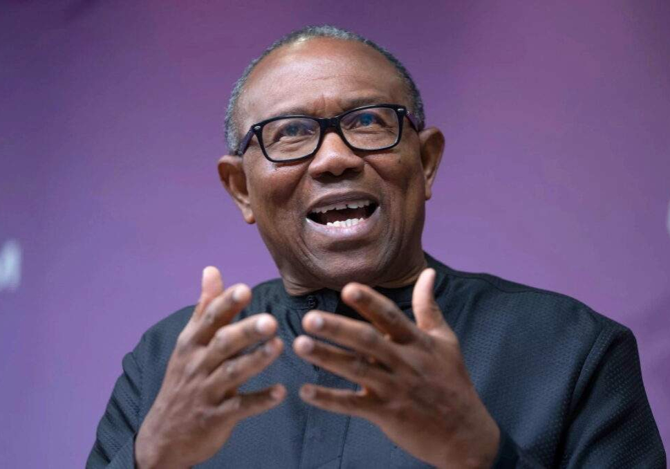 Nobody goes around searching for foreign investors Peter Obi