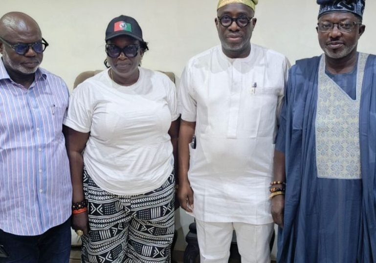 Labour Party woos PDP's Showunmi for Ogun 2027 gov race