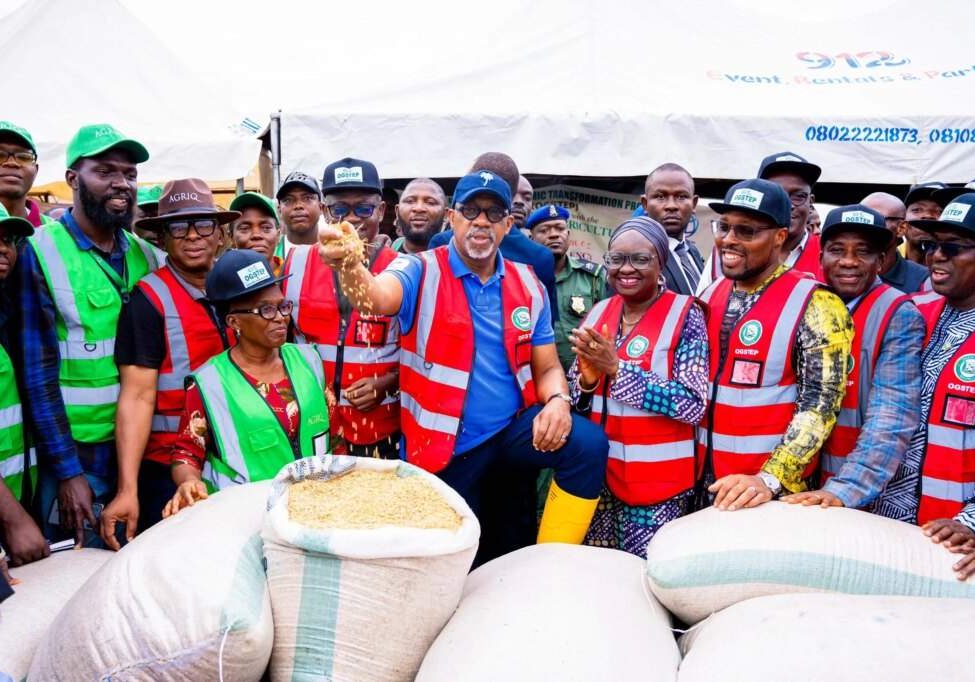 Ogun State Joins Rice Producing States, Eyes N30 Billion Revenue