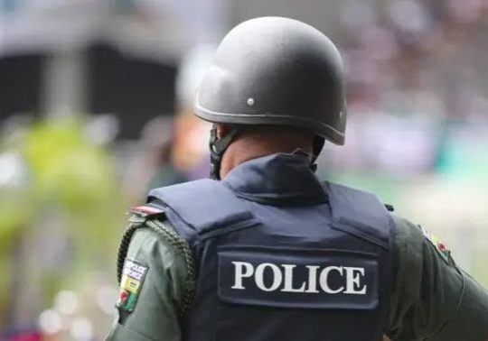 Ogun: Eight ‘agitators’ nabbed for allegedly breaching public peace, assault of officers
