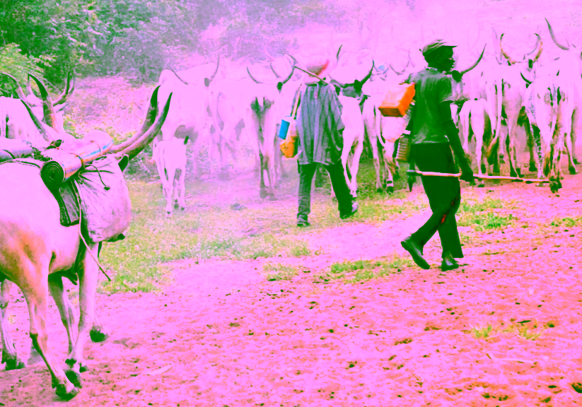 Ondo under siege as suspected herdsmen kill over 20 farmers
