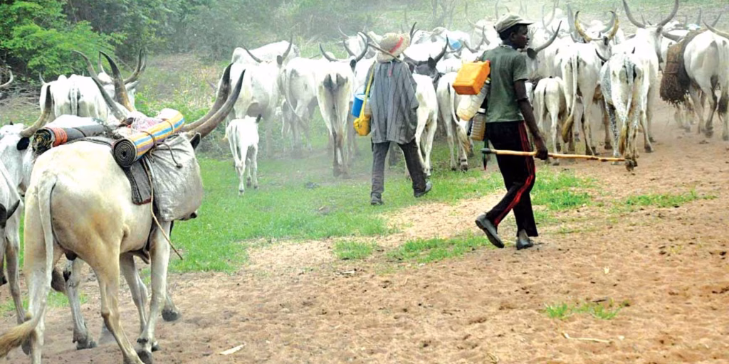 Ondo under siege as suspected herdsmen kill over 20 farmers Ondo under siege as suspected herdsmen kill over 20 farmers
