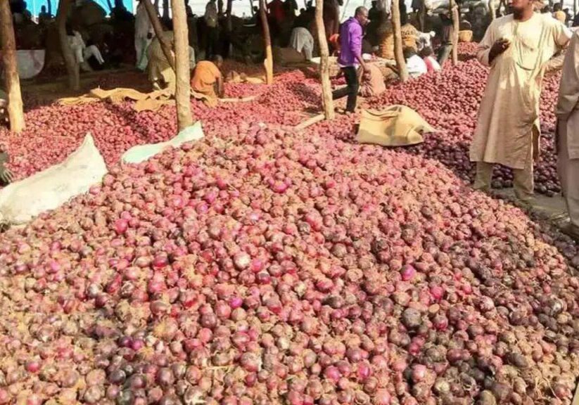 Onion prices increase by 200% in Nigerian markets ahead of Onion prices increase by 200% in Nigerian markets ahead of Yuletide