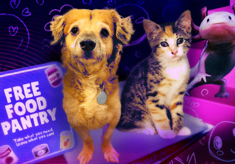 The 8 most wholesome internet moments of 2025