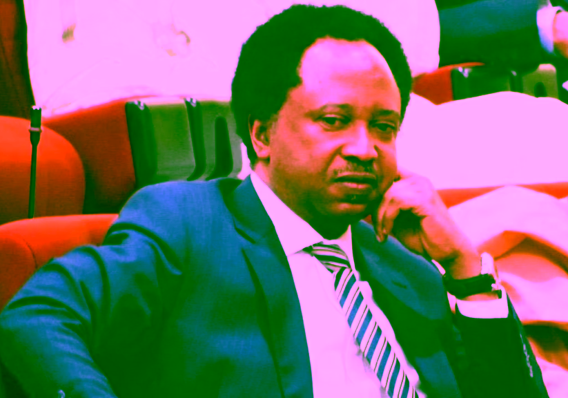 Opposition disunity a gift to Tinubu’s re-election in 2027 - Shehu Sani