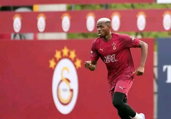 AFCON: Dursun reveals Osimhen's major weakness