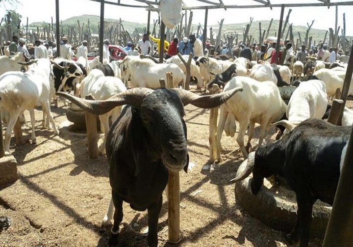 Oyo workers get ram, rice at subsidised prices — Daily Nigerian