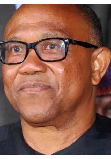2027: Peter Obi may not keep one-term promise — PDP chieftain