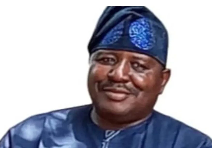 PDP remains strong, resilient — Kaduna chairman, Masha