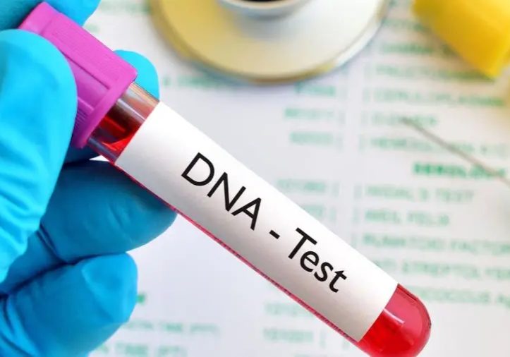 Paternity DNA test reveals 25 percent of children are not Report of more children failing DNA test ignites fresh arguments