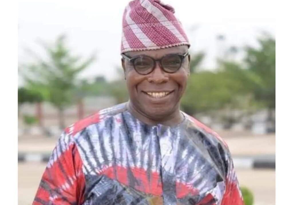 Peoples Democratic Partys Loss in 2023 Elections Director Blames High Handedness