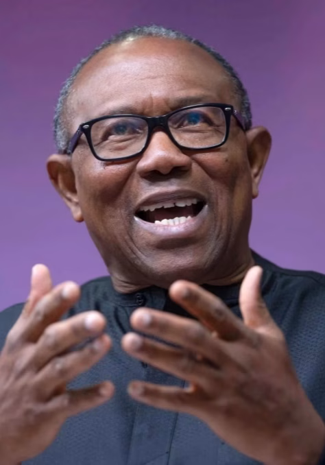 Benue, Kogi, Taraba killings: We can't continue like this, bloodshed must end - Peter Obi