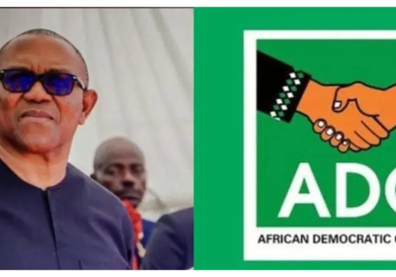 Peter Obi campaigns for ADC candidates ahead of FCT Area Council election