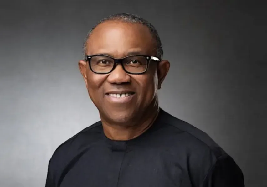 2027: Peter Obi's support in Northern Nigeria overwhelming - Obidients