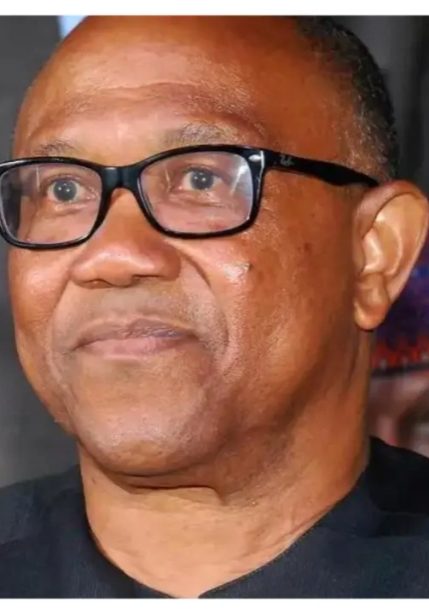 2027: Peter Obi may lose opportunity to be our candidate - Labour Party Secretary