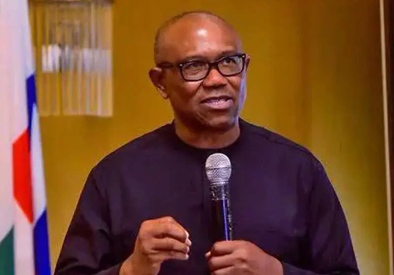 Bye-elections: Don't vote for Labour Party - Peter Obi tells supporters