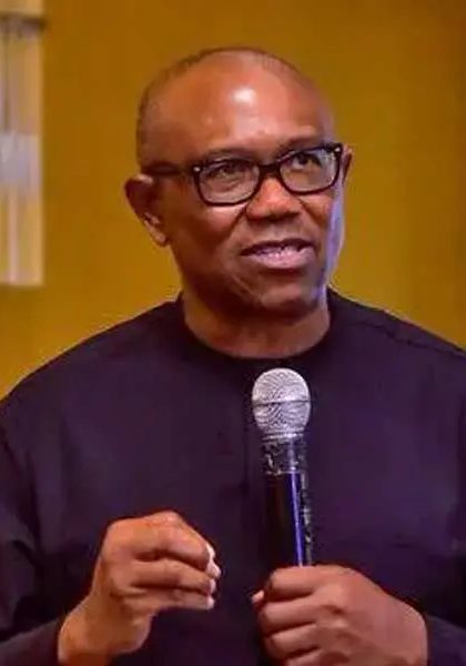 Bye-elections: Don't vote for Labour Party - Peter Obi tells supporters