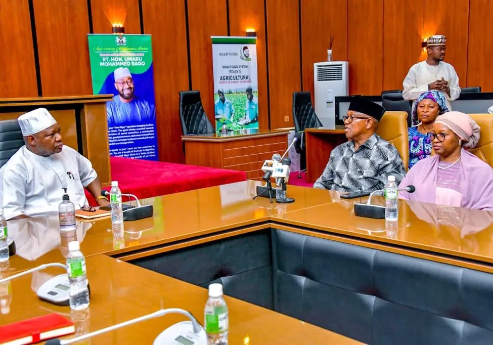 Peter Obi sympathizes with Niger govt, victims of Mokwa flood