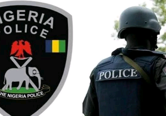 Police officer shoots colleague dead, injures others in Rivers — Daily Nigerian