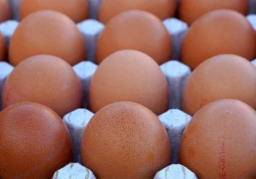Price of eggs to drop in Nigeria with govt subsidy Price of eggs to drop in Nigeria with govt subsidy — Poultry farmers