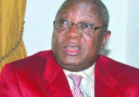 Prof Ani emerges APC candidate to replace Umahi — Daily