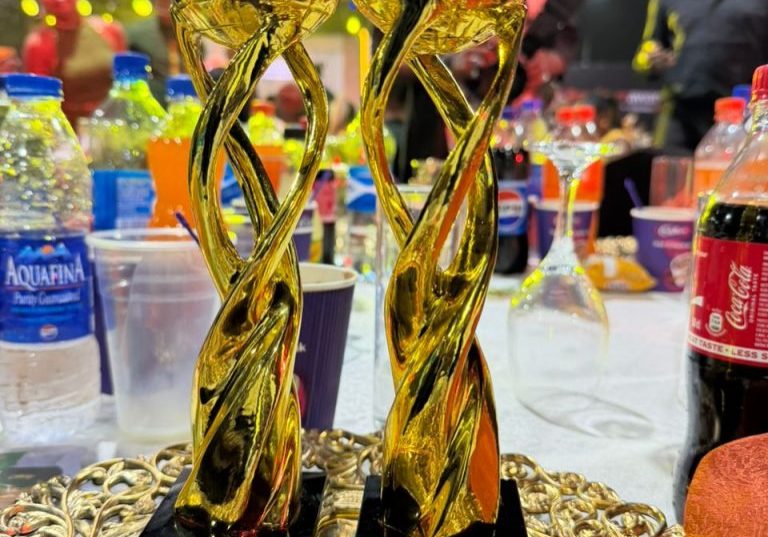 Integrated Indigo Bags PR Agency of the Year and Most Outstanding Agency in Corporate Communications at Brandcom Awards