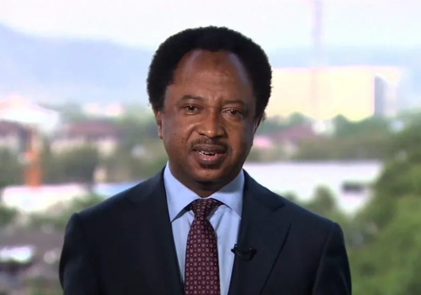 Put your houses in order, stop accusing Tinubu - Shehu Sani tells PDP, LP, others