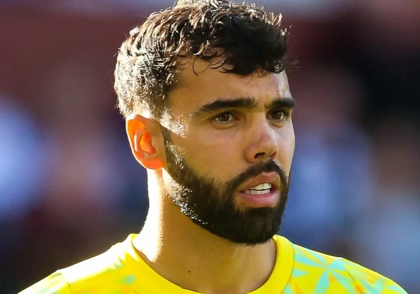 EPL: 'I was very close' - David Raya names club he almost joined before Arsenal move