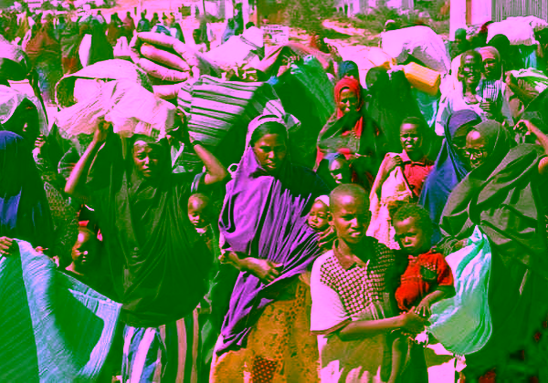 50m people in West, Central Africa at risk of hunger -- WFP — Daily Nigerian