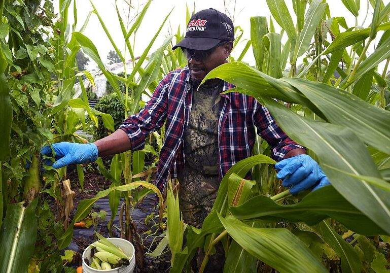 Refugees Find New Roots in US Farming Refugees Find New Roots in US Farming
