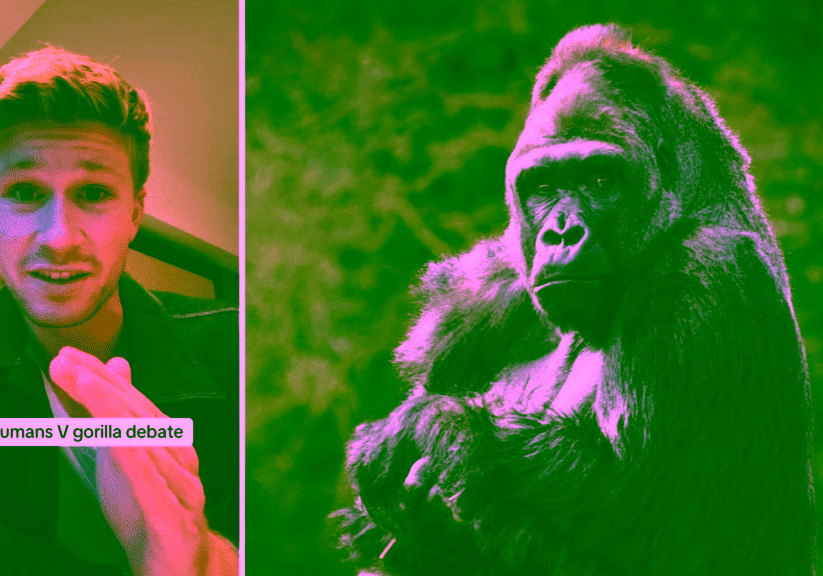 Robert Irwin weighed in on the 100 men vs one gorilla debate