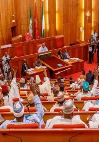 Senate-Nigeria-2.jpg