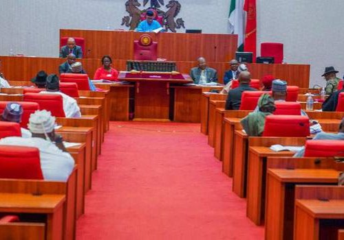 Senate in Emergency Session Ahead of Nationwide Protests Senate in Emergency Session Ahead of Nationwide Protests