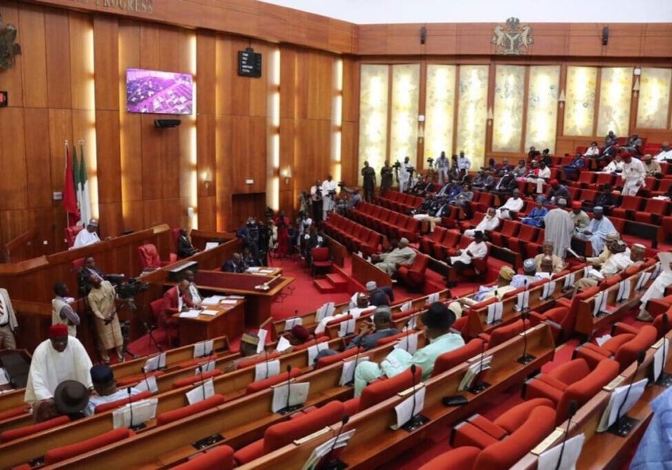 Senate moves against 'Japa' syndrome Senate moves against 'Japa' syndrome