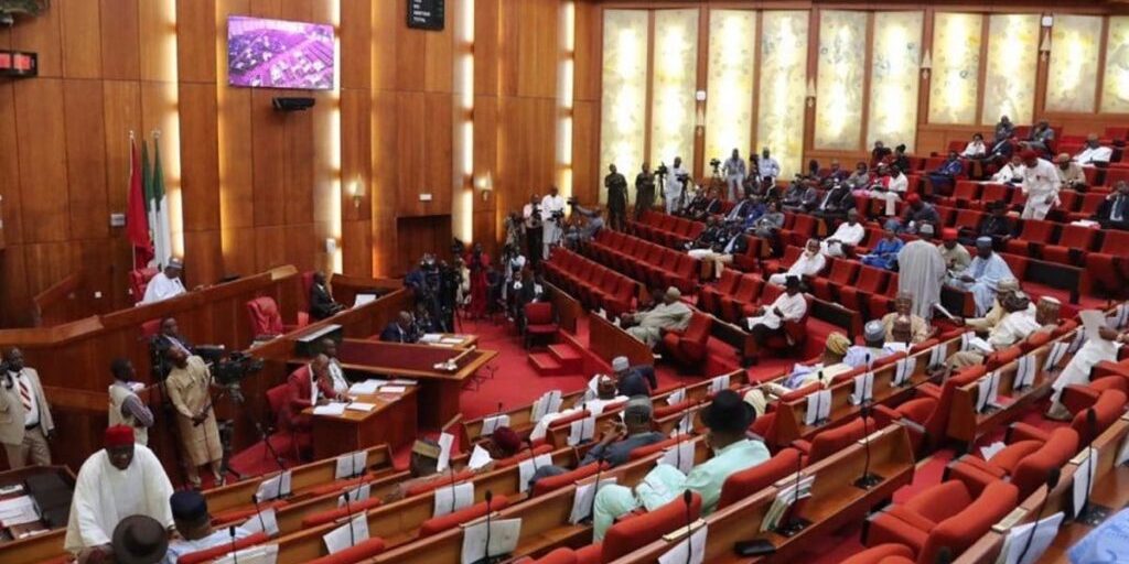 Senate moves against 'Japa' syndrome