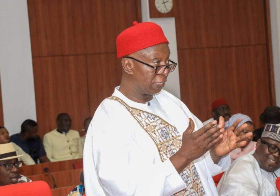 Senator Ned Nwoko Urges Transformation of Illegal Arms Talents for