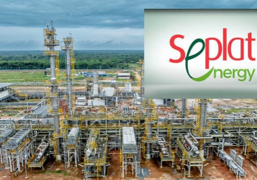 Seplat’s 300 MMscfd ANOH Project Achieves First Gas • Channels Television
