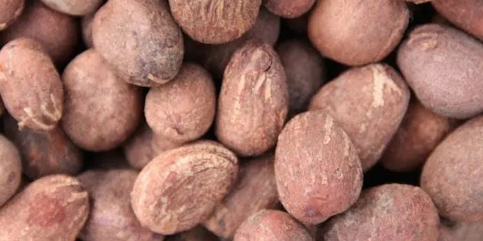 Shea nuts export suspended by President Tinubu Tinubu orders temporary ban on raw shea nuts export