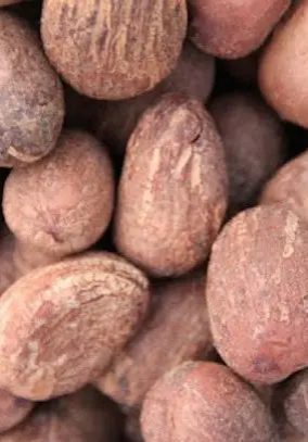 Tinubu orders temporary ban on raw shea nuts export