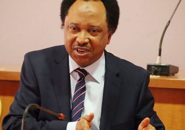 Shehu Sani Exonerates Tinubu, Faults Northern Nigeria’s Past Leaders Tinubu not responsible for problems confronting North -- Shehu Sani — Daily Nigerian